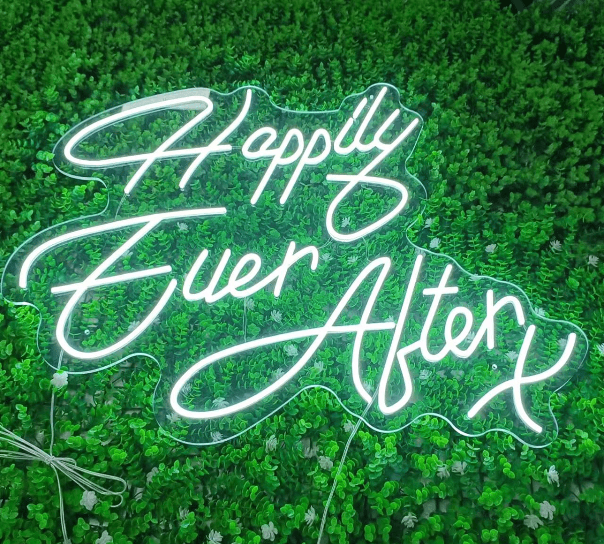 Happily Ever After Neon Sign